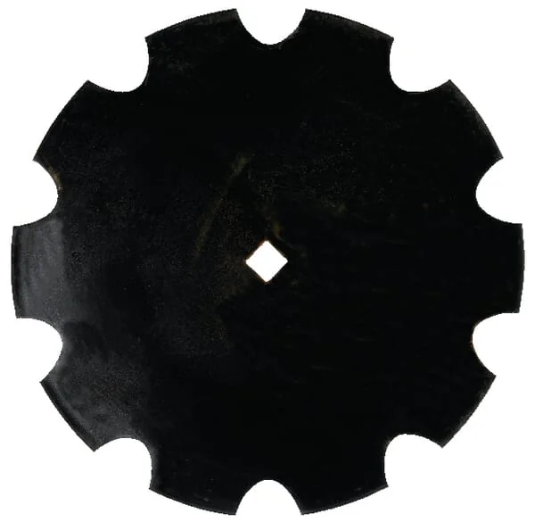 Dal Bo - 72387 - Scheibe