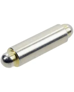 Dana Spicer - 000146096 - Spitze