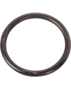 Dana Spicer - 001050041 - O-Ring