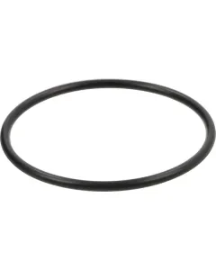 Dana Spicer - 001050519 - O-Ring