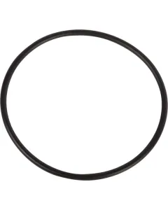 Dana Spicer - 001050810 - O-Ring