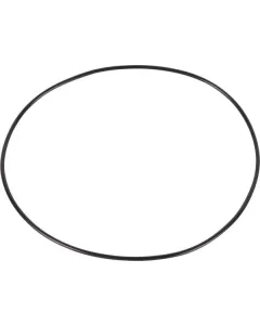 Dana Spicer - 001051480 - O-Ring