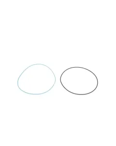 Dana Spicer - 001052673 - O-Ring