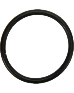 Dana Spicer - 001053158 - O-Ring