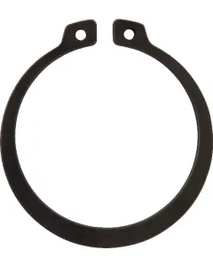 Dana Spicer - 002010078 - Ring