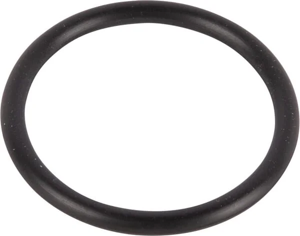 Dana Spicer - 1760701501 - O-Ring