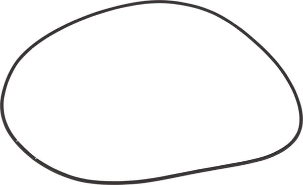 Dana Spicer - 1760702902 - O-Ring
