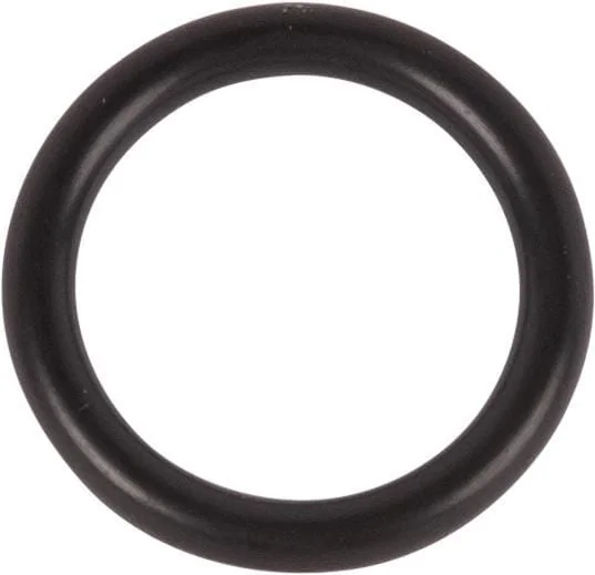 Dana Spicer - 1760705301 - O-Ring
