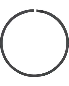 Dana Spicer - 230416 - Segment