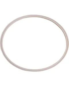 Dana Spicer - 237032 - PTFE-Flachdichtung