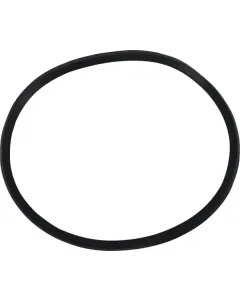 Dana Spicer - 244841 - Dichtungsring