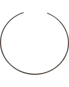 Dana Spicer - 3428523M1N - Sicherungsring