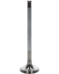 Deutz - 04240922 - Auslassventil