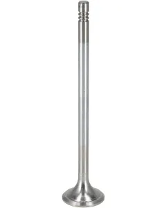 Deutz - 04289801 - Auslassventil