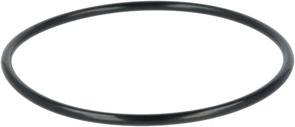 Fendt (AGCO) - F339860060010 - O-Ring