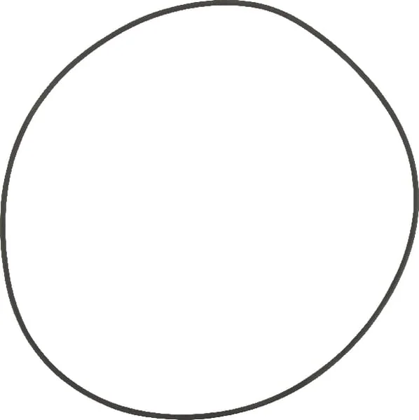 Fendt - X549033600000 - O-Ring