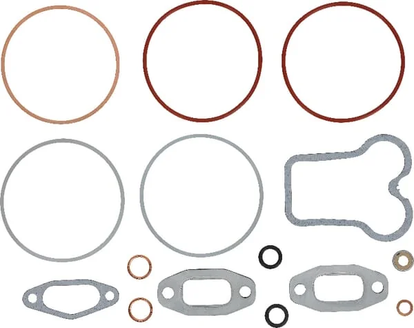 Glaser Dana - D64013 - MWM-Dichtung