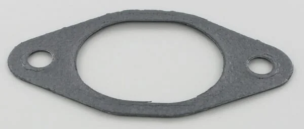 Glaser Dana - F119200090010N - Dichtung
