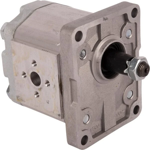 Goldoni - 02030045 - Pumpe 2P11S