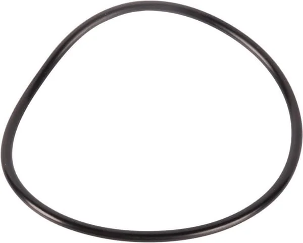 Goldoni - 06230062 - O-Ring 78,97x3,53/431