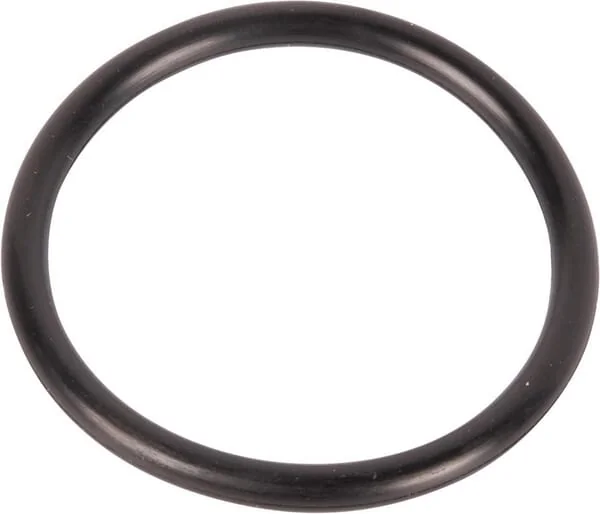 Goldoni - 06230096 - O-Ring 37,69x3,53/415