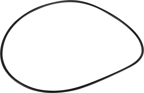 Goldoni - 06230165 - O-Ring 171,04x3,53