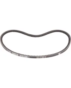 Goldoni - 0L2440022 - Riemen