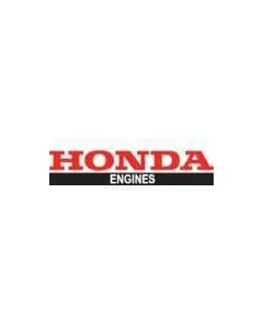 Honda - 17510Z0S010ZC - Kraftstofftank
