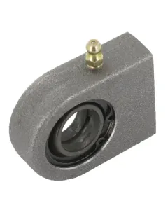 INA FAG - GF20DOAINA - Radial-Gelenklager