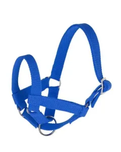 Kerbl - 27198 - Halfter Fuer Lamas Groesse 50 Blau