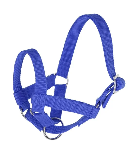 Kerbl - 27199 - Halfter Fuer Lamas Und Alpakas Groesse 60 Blau