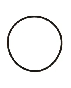 KUBOTA - RG00018769 - Dichtring 94,85 x 3,53 Viton Rau