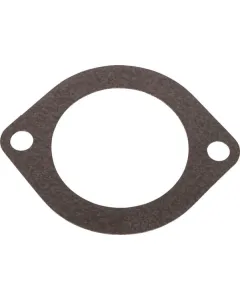 Landini - 6679026A1 - Dichtung