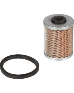 Lombardini - 2175205 - Kraftstofffilter Im Tank