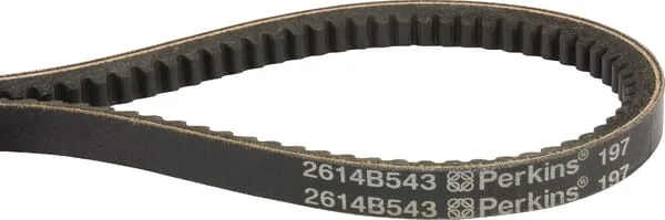 Manitou - MA605041 - Keilriemen