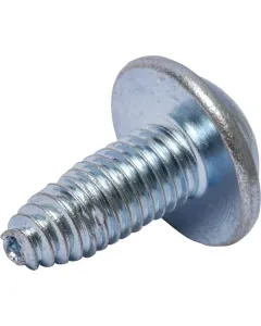 Maschio Gaspardo - 8112190596 - Selbstschneidende Linsenkopfschraube M6-14