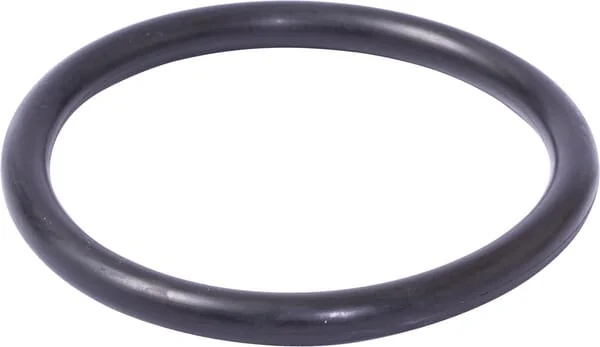 Maschio Gaspardo - F03011142R - O-Ring-Dichtung 10x100