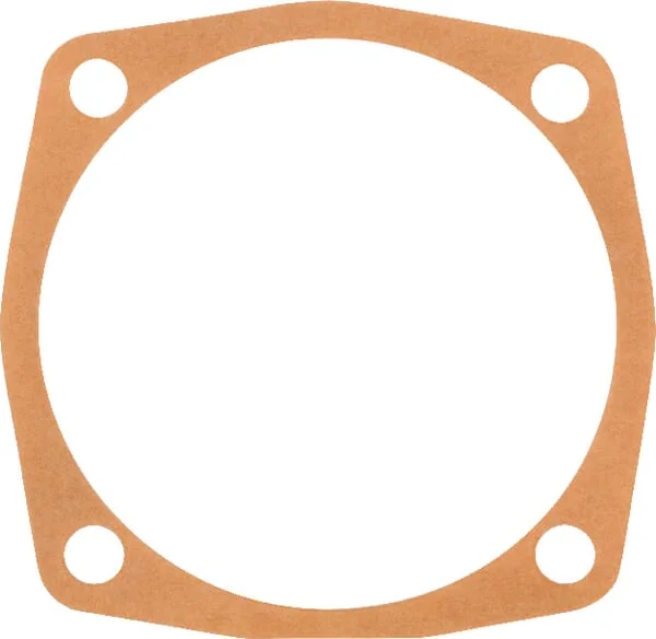 Maschio Gaspardo - M01110105R - Dichtung B Maschio Gaspardo