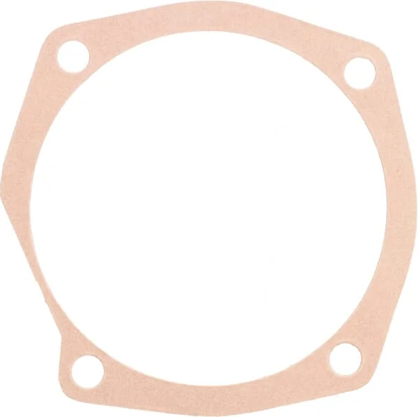 Maschio Gaspardo - M13100126R - Dichtung 0,5 mm Maschio Gaspardo