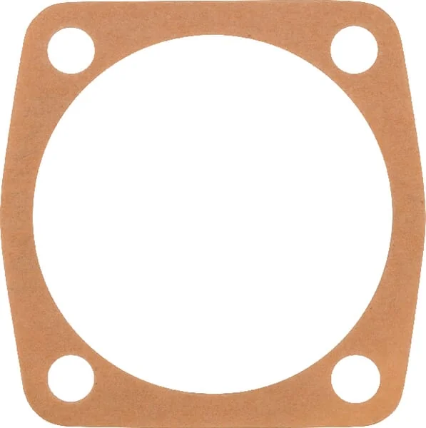 Maschio Gaspardo - M19100209R - Dichtung 0,1 mm Maschio Gaspardo