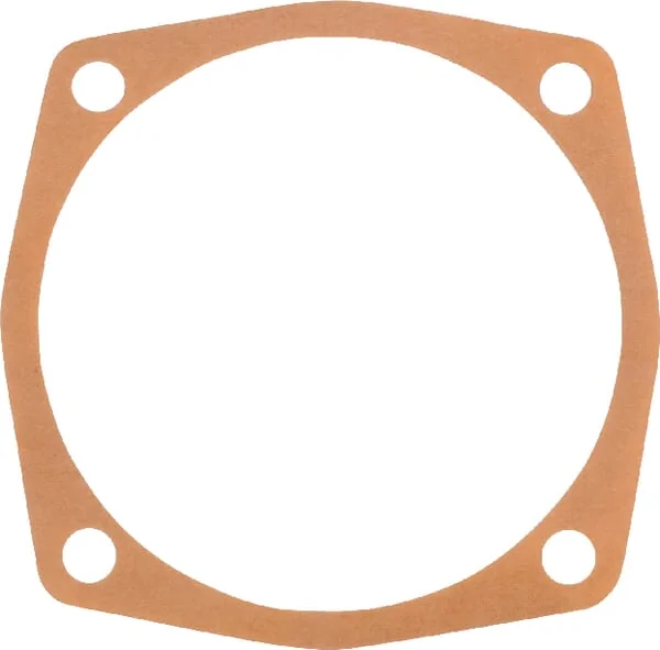 Maschio Gaspardo - M24100123R - Dichtung 0,1 mm Maschio Gaspardo