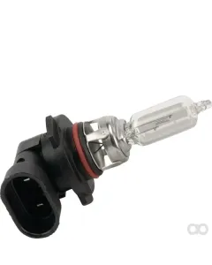 Massey Ferguson - 6255951M1 - Gluehlampe, 12V 60W