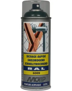 Motip - 07123 - RAL 6009 Spruehfirnengruen