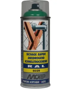 Motip - 07145 - RAL 6029 Acrylspray Mintgruen