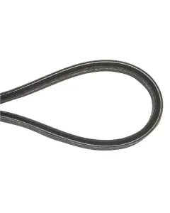 Murray - N318372 - Antriebsriemen 15.9X2172mm