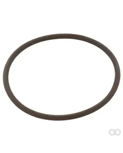 New Holland - 14459381 - O-Ring