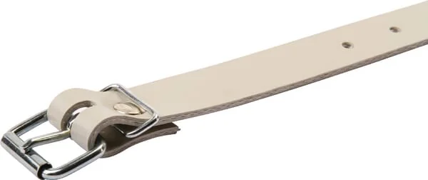 Non Branded - PL10014 - TIR-Spannbaender 500 mm