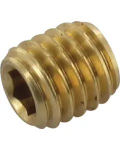 Non Branded - SSM5504BR - Einstellschraube M5 L=5mm Diameter 0.4mm BR
