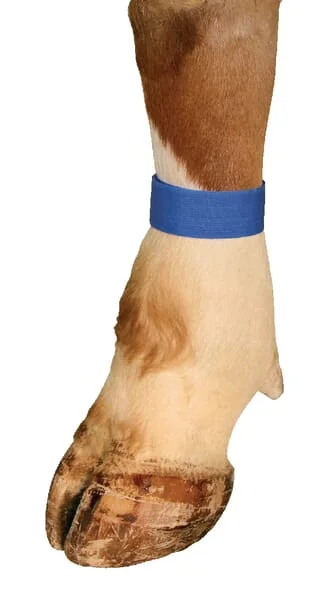 Non Branded - VV8132 - Blaue Markierbaender Mit Klettverschluss 10er Packung