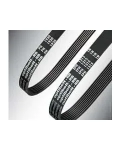 Optibelt - 8PJ762 - Rippenriemen